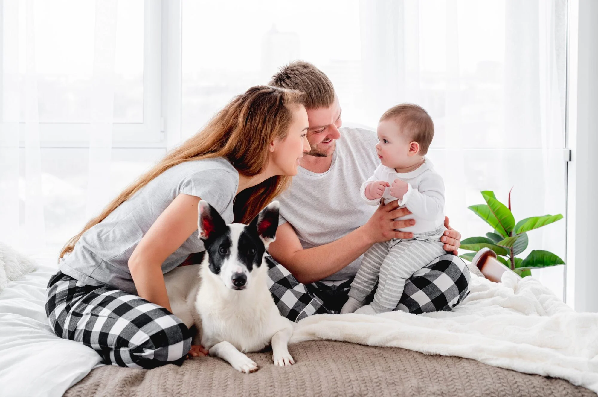 A smiling couple with a baby and a black-and-white dog sit together on a bed in a bright room.
